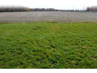 Property photo 83 - 127 Acres Offered in 8 Tracts - Allen & Dekalb County Land